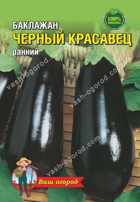 Насіння Баклажан Чорний красень (1 г.)