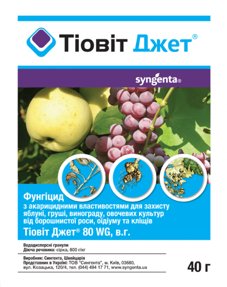 Тіовіт Джет