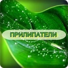 Прилипатель