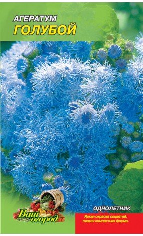 Насіння Агератум Блакитний (малий) квіти