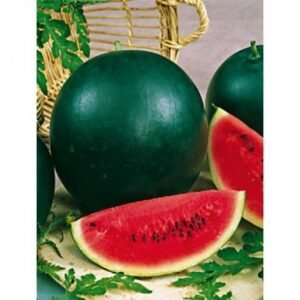 Насіння Кавун Вогник (вага)