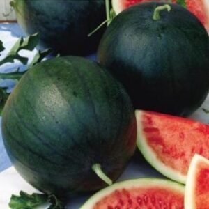 Насіння Кавун Цукровий малюк (вага)