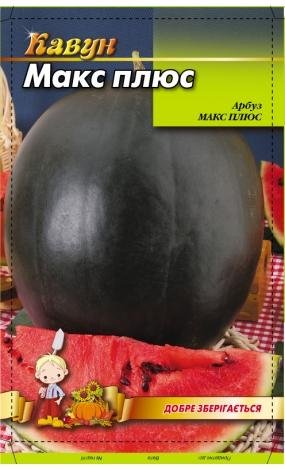 Насіння Кавун Макс Плюс (малий)