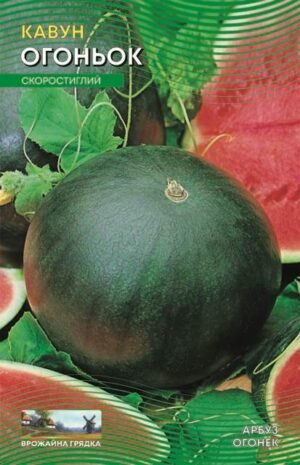 Насіння Кавун Вогник (малий)