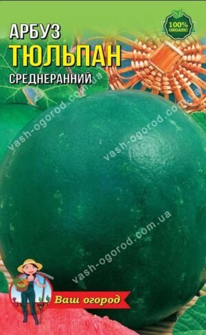 Насіння Кавун Тюльпан (5 г.)