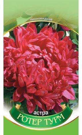 Насіння Айстра Роте турм (малий)