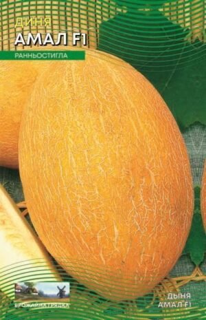 Насіння Диня Амал (малий)