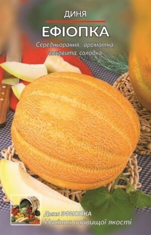 Насіння Диня Єфіопка (малий)