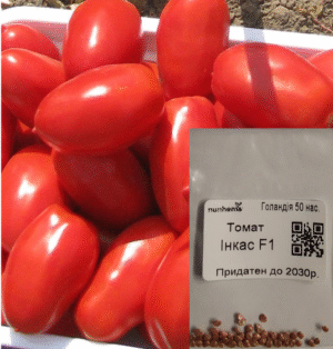 Насіння Томат Інкас F1  (Детермінант., червоний, сливовидний) (голландія) - 50 нас