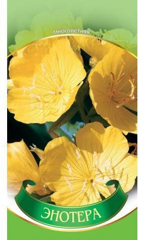 Насіння Енотера (малий)