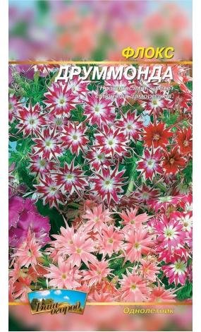 Насіння Флокс Друмонда (малий)