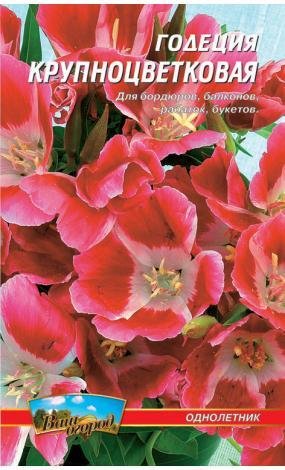 Насіння Годеція (малий)