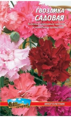 Насіння Гвоздика садова (малий)