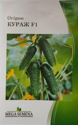 Насіння Огірок Кураж F1 (1 г.)