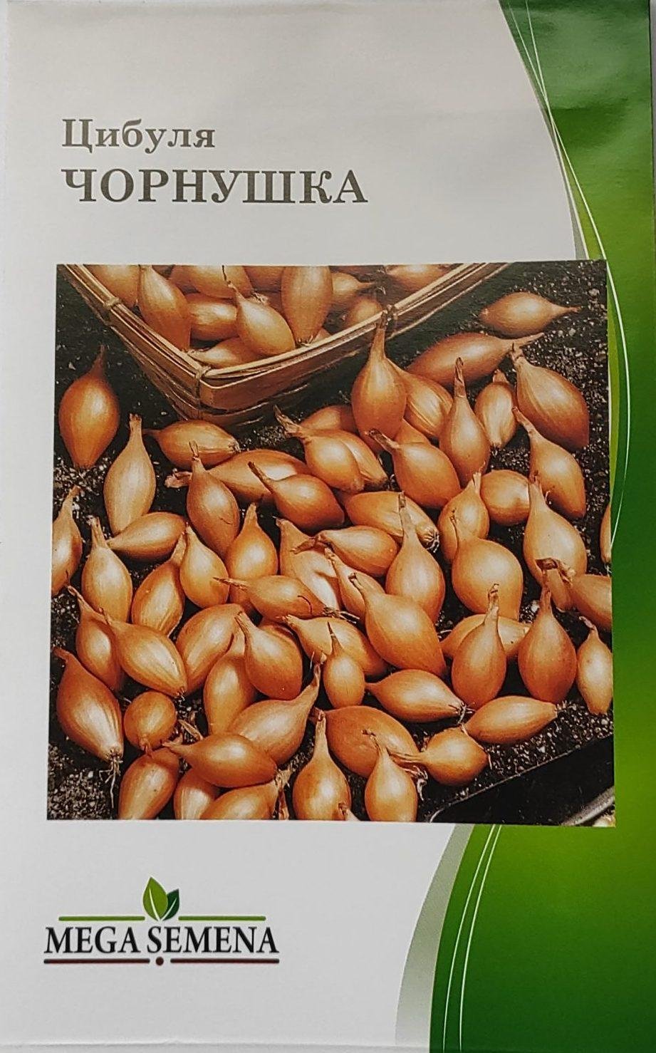 Насіння Цибуля Чорнушка жовта ( 5 г.)