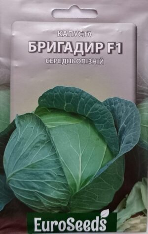 Насіння Капуста Бригадир F1 (EuroSeeds) - 1 г.