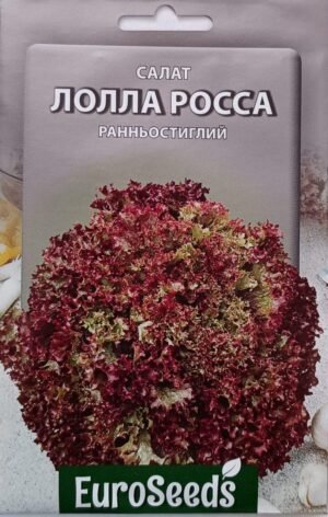 Насіння Салат Лола Роса (EuroSeeds) - 5 г.