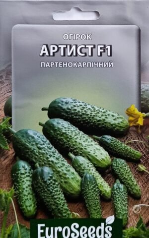 Насіння Огірок Артист F1 (EuroSeeds) - 2 г.