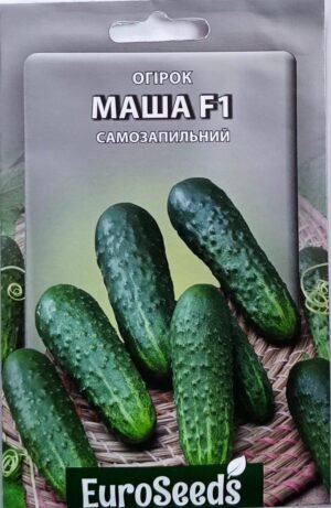 Насіння Огірок Маша F1 (EuroSeeds) - 2 г.
