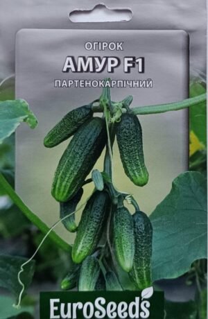 Насіння Огірок Амур F1 (EuroSeeds) - 2 г.