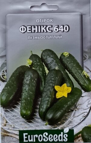 Насіння Огірок Фенікс 640 (EuroSeeds) - 2 г.