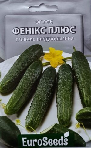 Насіння Огірок Фенікс плюс (EuroSeeds) - 2 г.