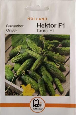 Насіння Огірок Гектор F1 (1 г.) голлан.