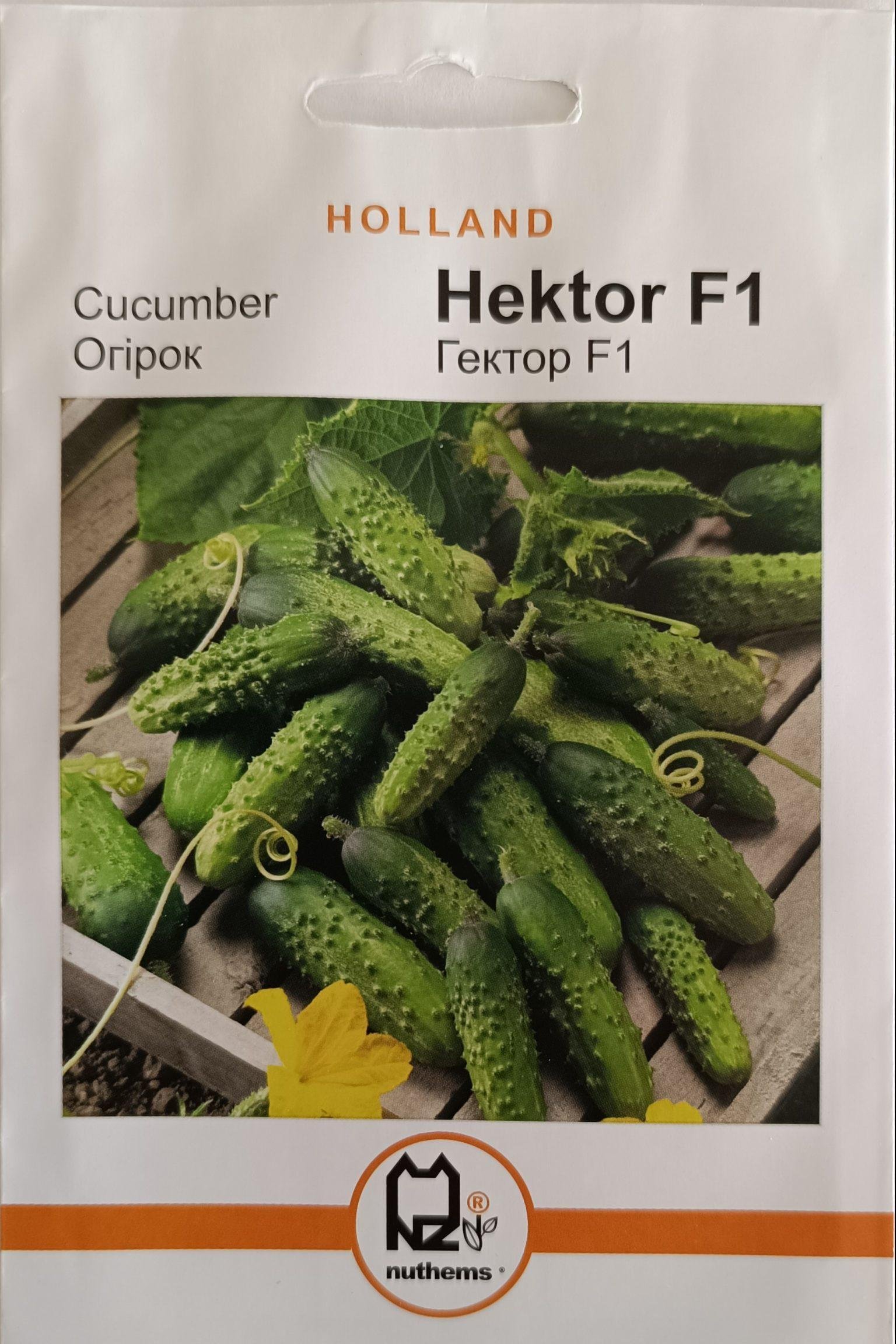 Насіння Огірок Гектор F1 (1 г.) голлан.