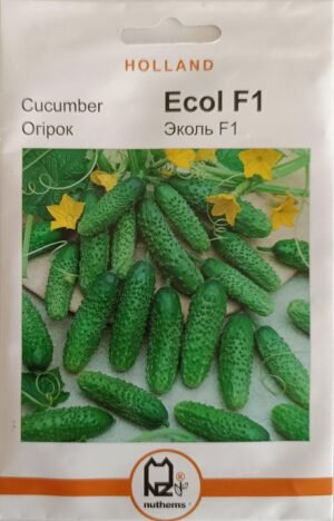 Насіння Огірок Еколь F1 (1 г.) голлан.