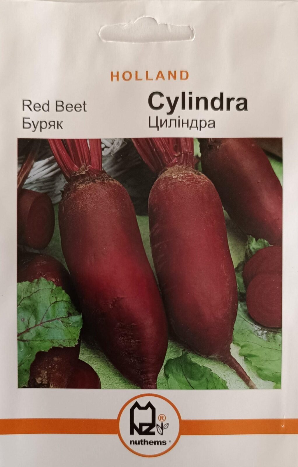 Насіння Буряк Циліндра (5 г.) голлан.