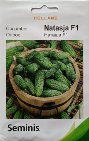 Насіння Огірок Наташа F1 (1 г.) голлан.