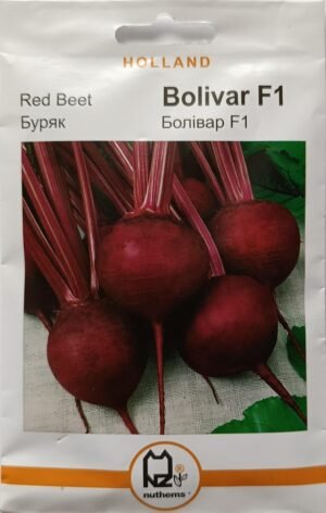 Насіння Буряк Болівар F1 (5 г.) голлан.