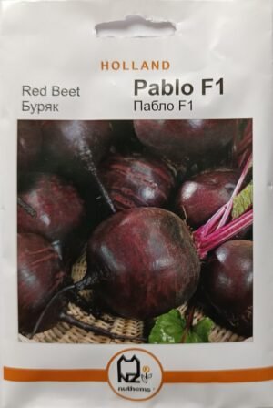 Насіння Буряк Пабло F1 (5 г.) голлан.