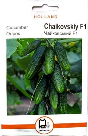 Насіння Огірок Чайковський F1 (1 г.) голлан.