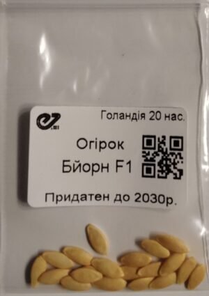 Насіння Огірок Бйорн F1 (голландія) - 20 нас.