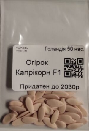 Насіння Огірок Капрікорн F1 (голландія) - 50 нас.