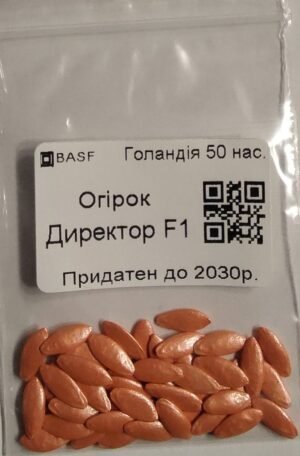 Насіння Огірок Директор F1 (голландія) - 50 нас.
