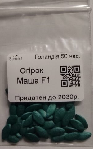 Насіння Огірок Маша F1 (голландія) - 50 нас.