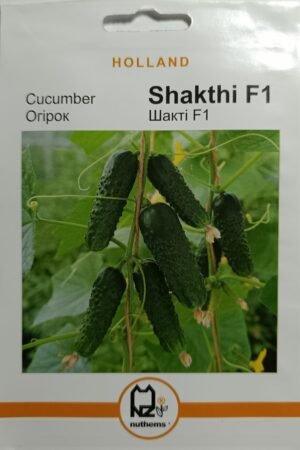Насіння Огірок Шакті F1 (1 г.) голлан.