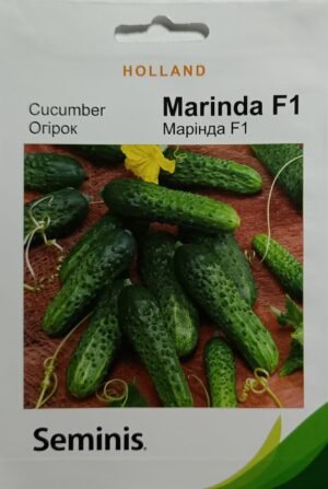 Насіння Огірок Марінда F1 (1 г.) голлан.