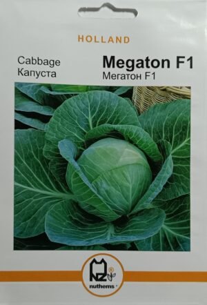 Насіння Капуста Мегатон F1 (1 г.) голлан.