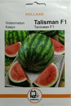 Насіння Кавун Талісман F1  (2 г.) голлан.
