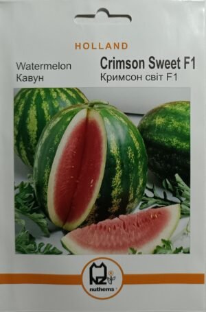 Насіння Кавун Кримсон Cвіт F1 (2 г.) голлан.
