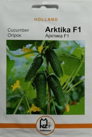 Насіння Огірок Арктика F1 (1 г.) голлан.