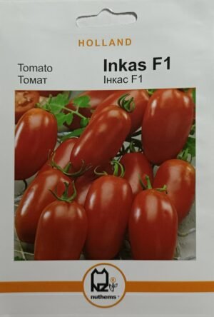 Насіння Томат Інкас F1 (100 шт.) голлан.