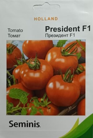 Насіння Томат Президент F1 (100 шт.) голлан.