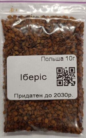 Насіння Іберіс 10 г. (Польща)