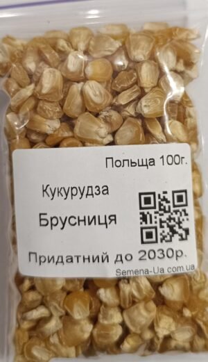 Насіння Кукурудза Брусниця 100 г. (Польща)
