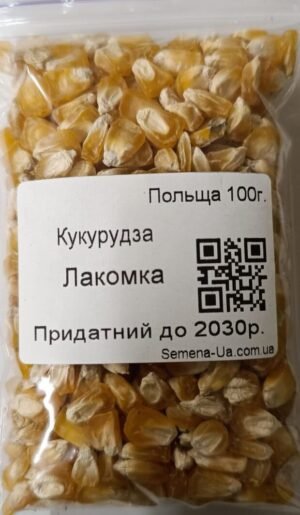 Насіння Кукурудза Лакомка 100 г. (Польща)
