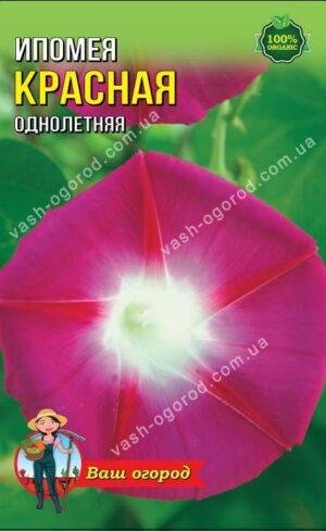 Насіння Іпомея червона (30-40 шт. семян)